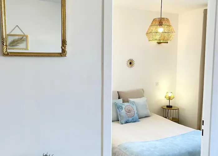 Joli T2 Petite Vue 公寓