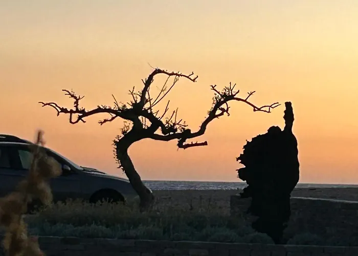 Joli T2 Petite Vue *