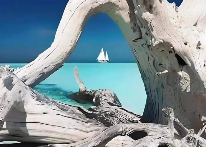 Joli T2 Petite Vue *