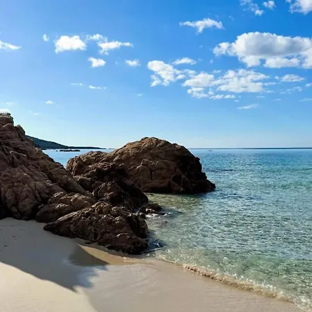 Joli T2 Petite Vue A 5mn A Pied Des Plages Propriano (Corsica)