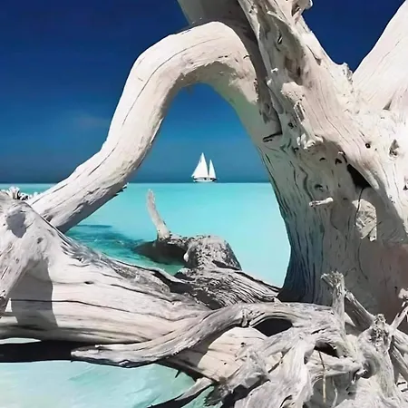 Joli T2 Petite Vue *